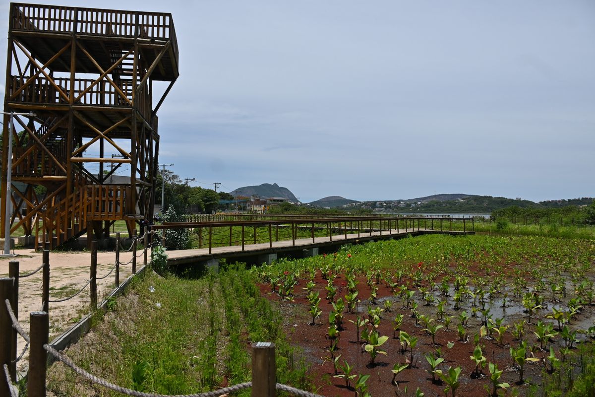 Parque Orla Piratininga (POP): projeto ambiental com soluções baseadas na natureza